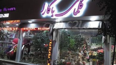 گل فروشی گلهای باکارا