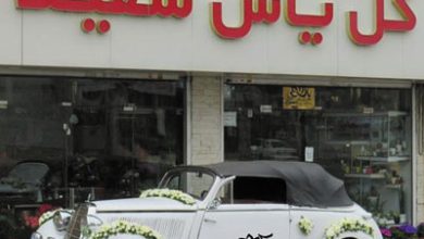 گلفروشی گل یاس سفید