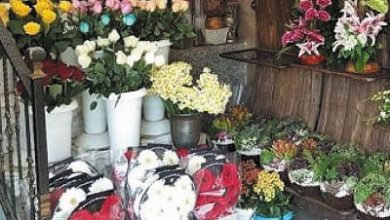 گل فروشی اختر