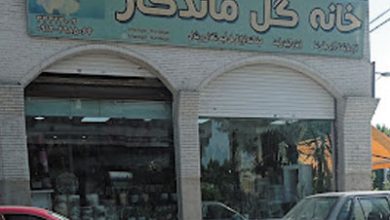 گلفروشی خانه گل ماندگار