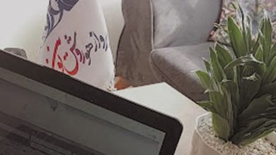 آژانس مسافرتی هوروش نوین