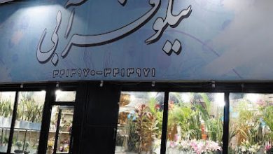 گل فروشی نیلوفر آبی