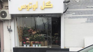 گل فروشی لوتوس