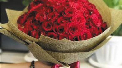 گل فروشی مگنولیا