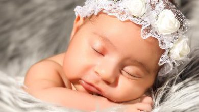 استودیو کاج نقره ای