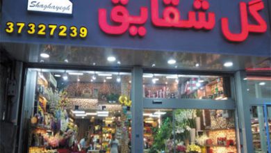 گل فروشی شقایق