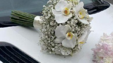 دنیای گل