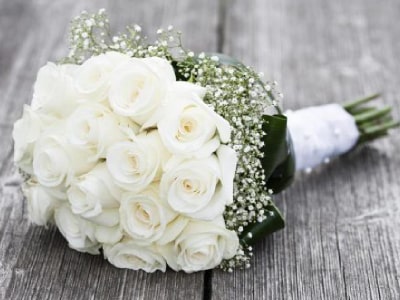 گالری گل رز سفید