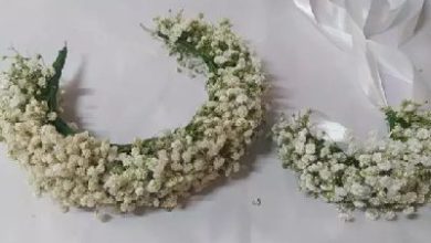 گل آرالیا