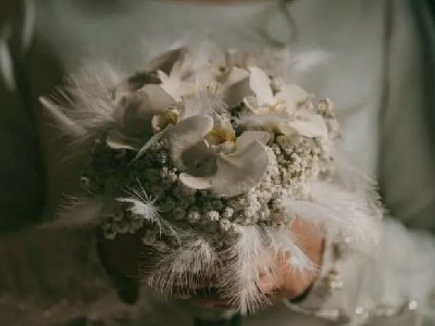 آتلیه پرنسا