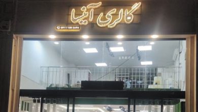گالری پوشاک آنیسا