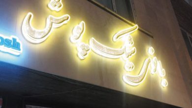 بانوی شیک پوش