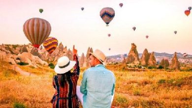 آژانس هواپیمایی پرستوی کویر