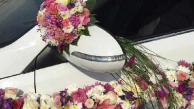 گل فروشی گل مزرعه