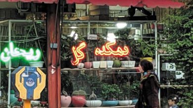 دهکده گل ریحان