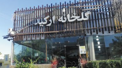 گل خانه ارکید