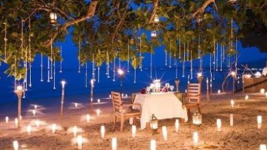 آژانس مسافرتی امیر سیر