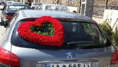 گل فروشی پیچک